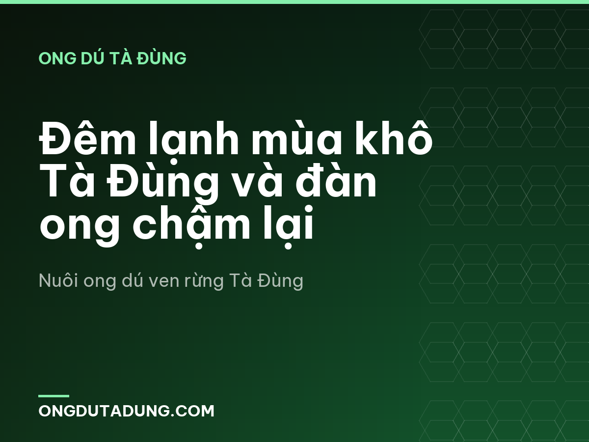 Đêm lạnh mùa khô Tà Đùng và đàn ong chậm lại