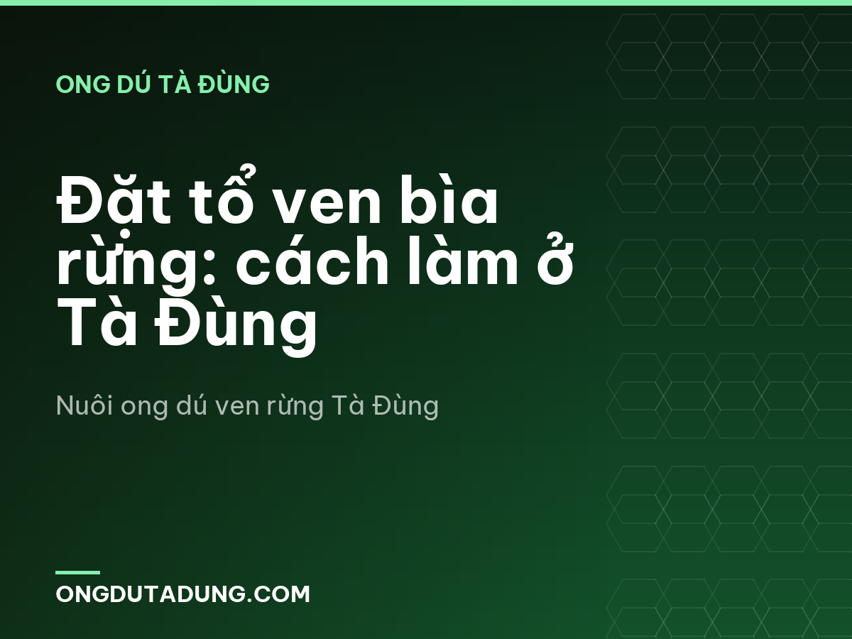 Đặt tổ ven bìa rừng: cách làm ở Tà Đùng