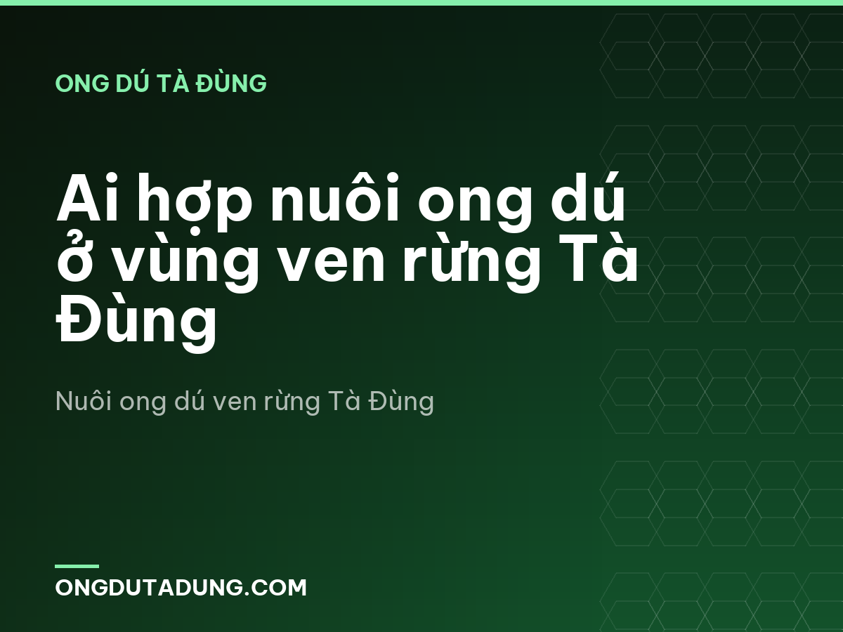 Ai hợp nuôi ong dú ở vùng ven rừng Tà Đùng
