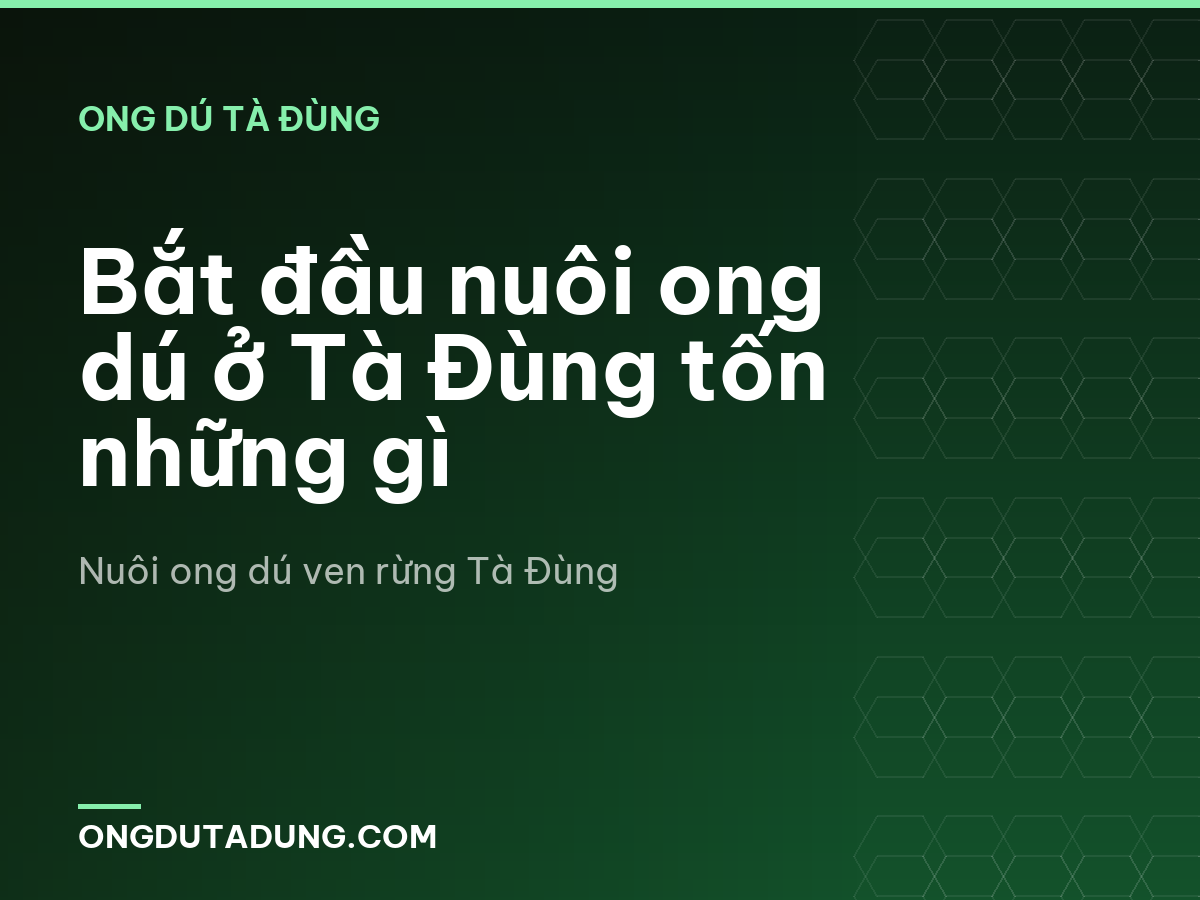 Bắt đầu nuôi ong dú ở Tà Đùng tốn những gì