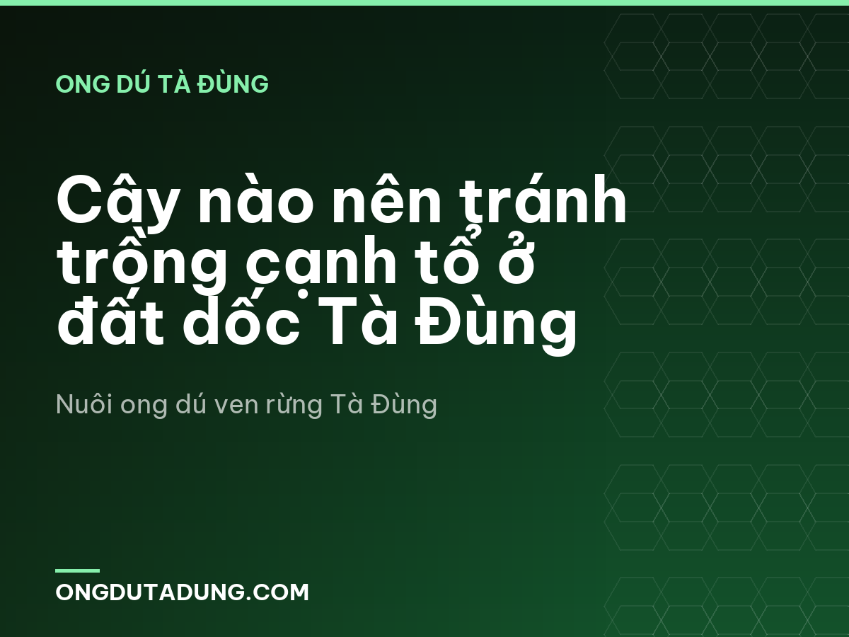 Cây nào nên tránh trồng cạnh tổ ở đất dốc Tà Đùng