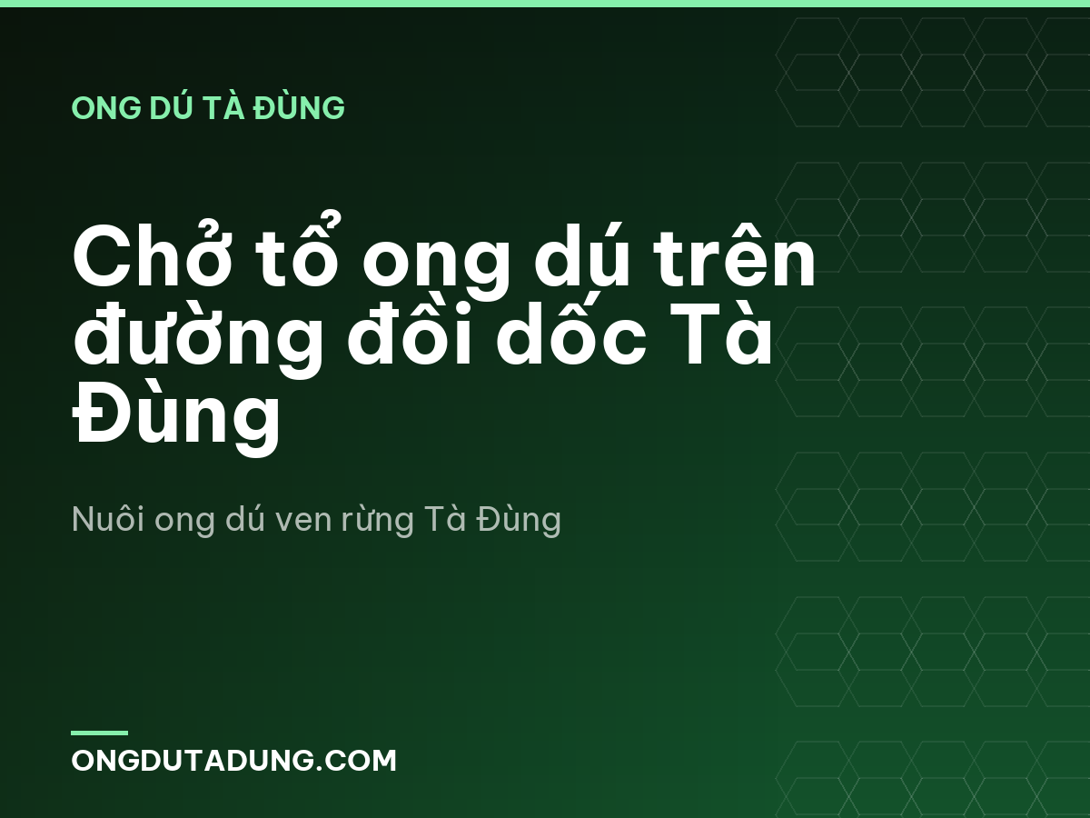 Chở tổ ong dú trên đường đồi dốc Tà Đùng