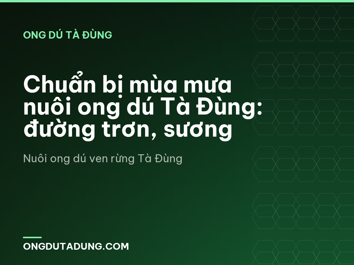 Chuẩn bị mùa mưa nuôi ong dú Tà Đùng: đường trơn, sương