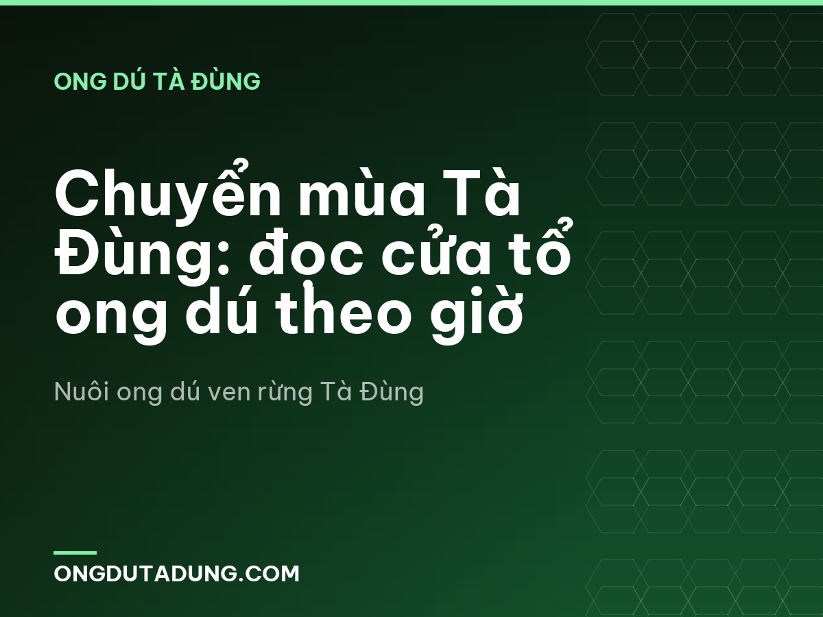 Chuyển mùa Tà Đùng: đọc cửa tổ ong dú theo giờ