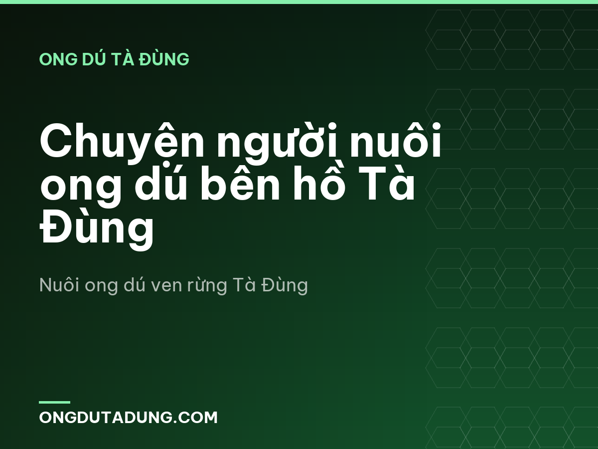 Chuyện người nuôi ong dú bên hồ Tà Đùng