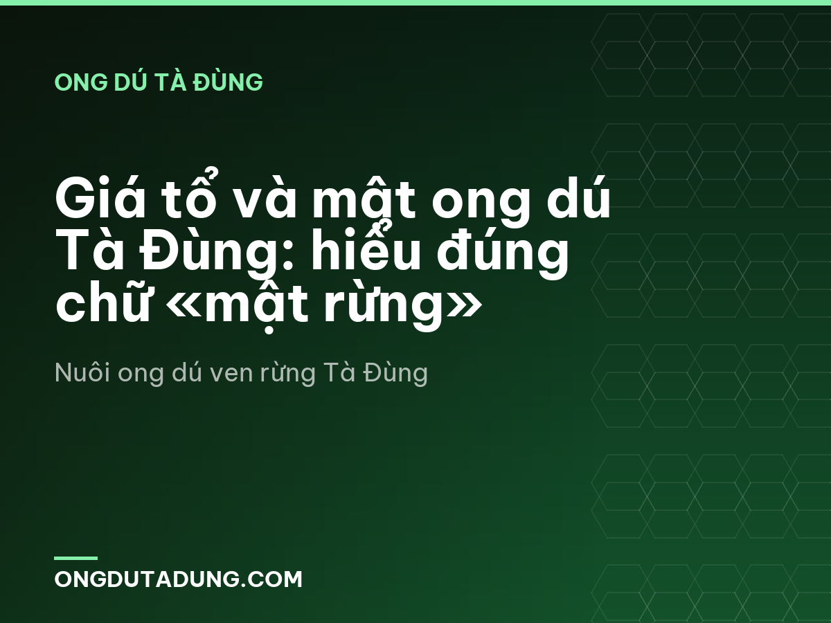 Giá tổ và mật ong dú Tà Đùng: hiểu đúng chữ «mật rừng»