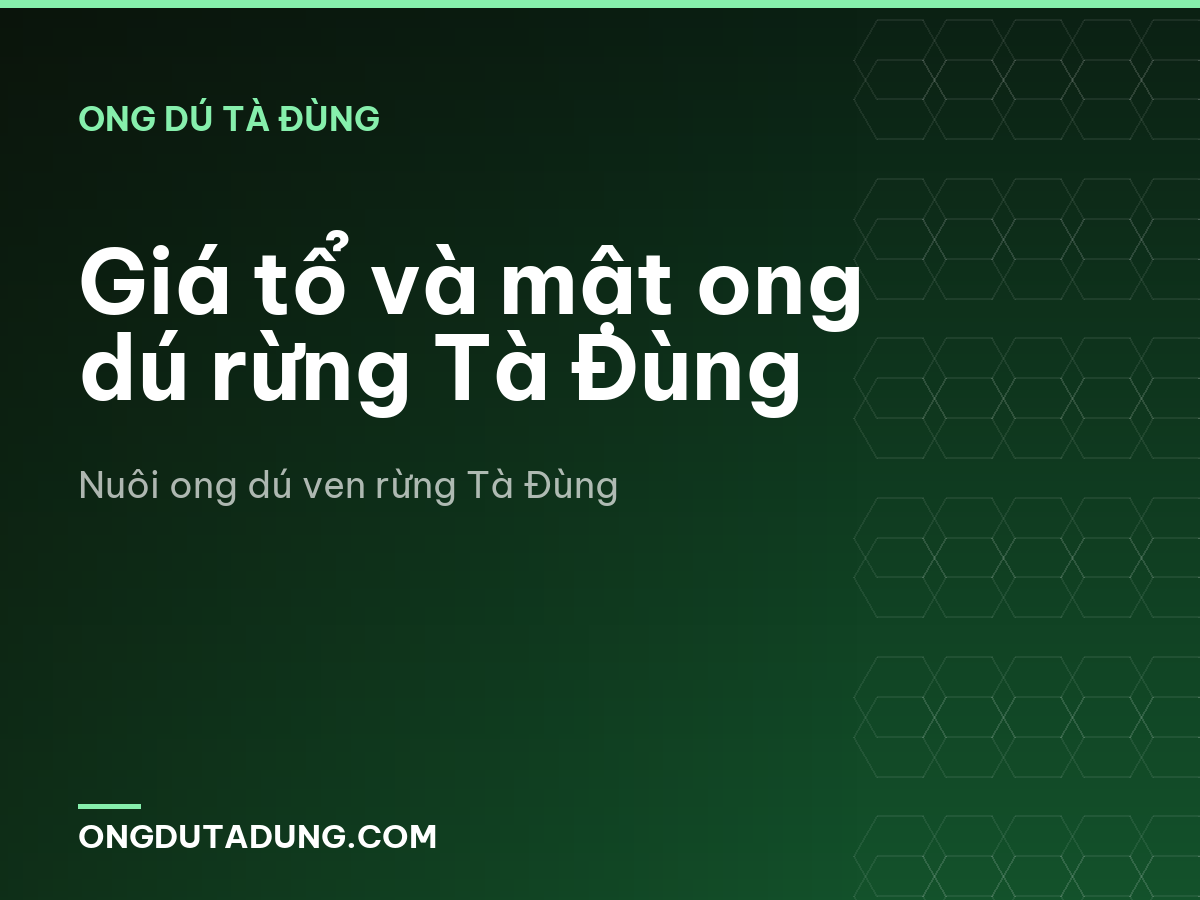 Giá tổ và mật ong dú rừng Tà Đùng