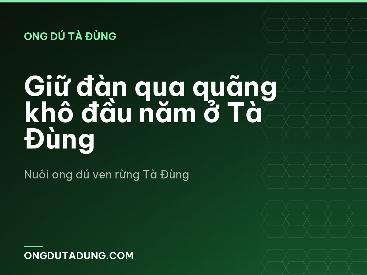 Giữ đàn qua quãng khô đầu năm ở Tà Đùng
