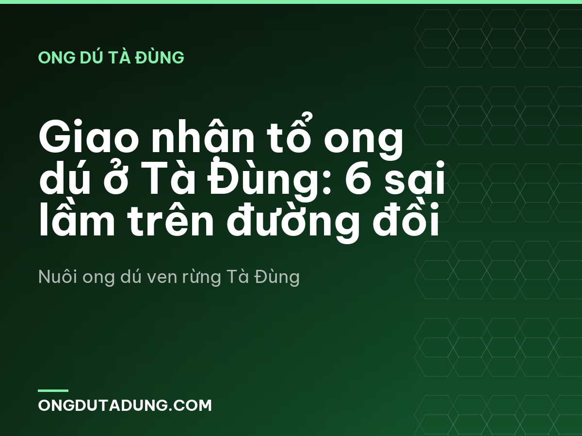 Giao nhận tổ ong dú ở Tà Đùng: 6 sai lầm trên đường đồi