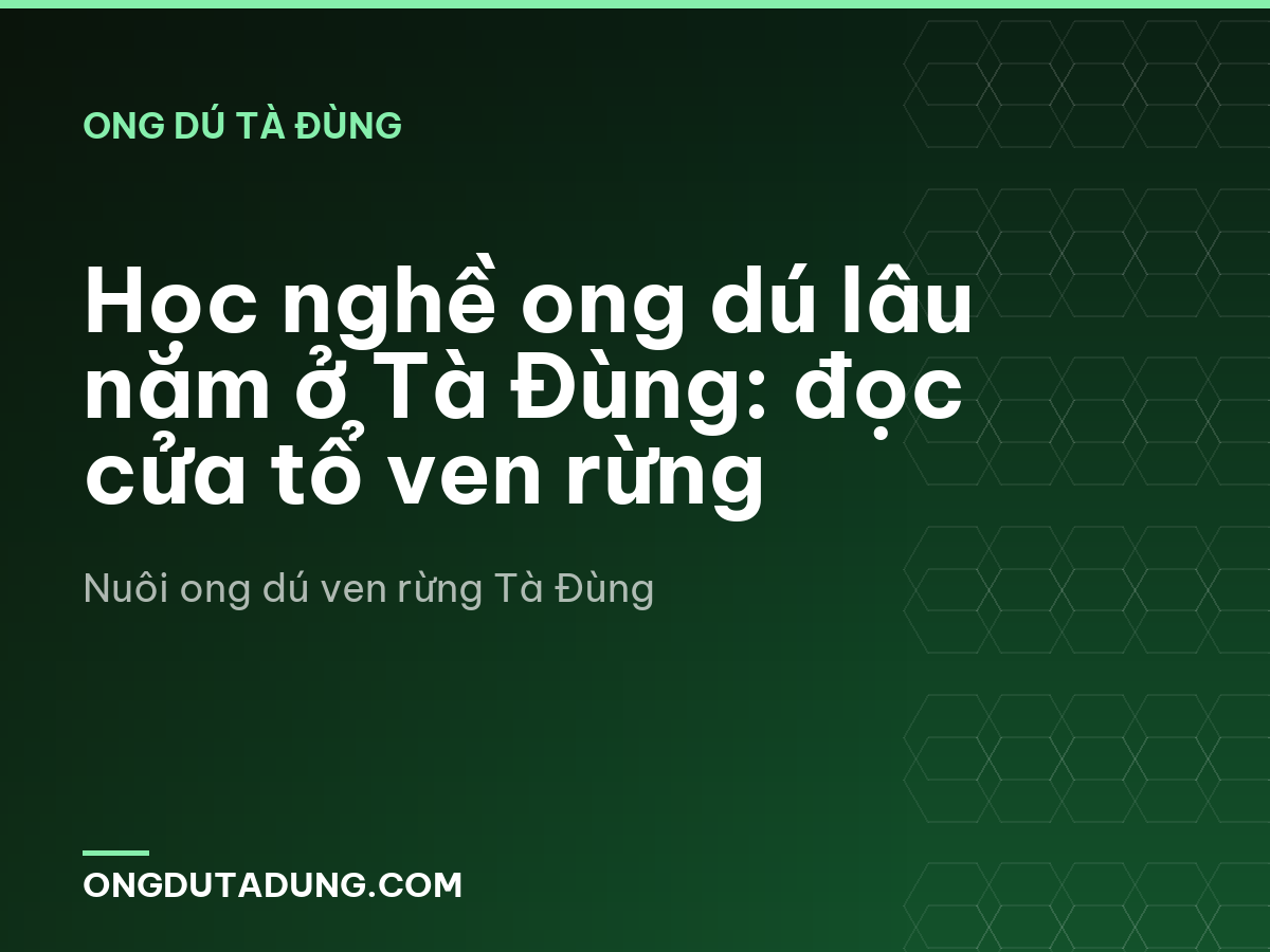 Học nghề ong dú lâu năm ở Tà Đùng: đọc cửa tổ ven rừng