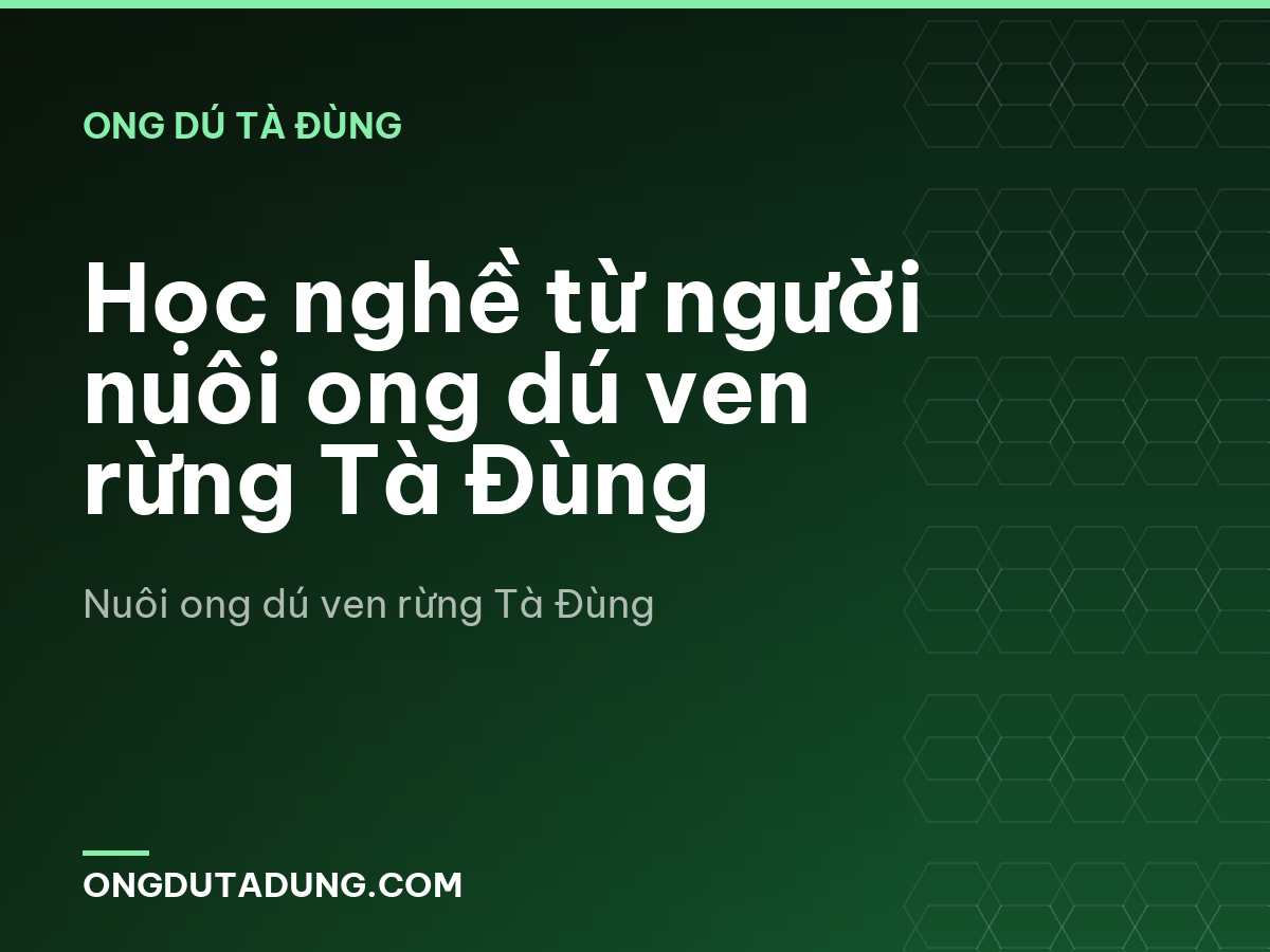 Học nghề từ người nuôi ong dú ven rừng Tà Đùng