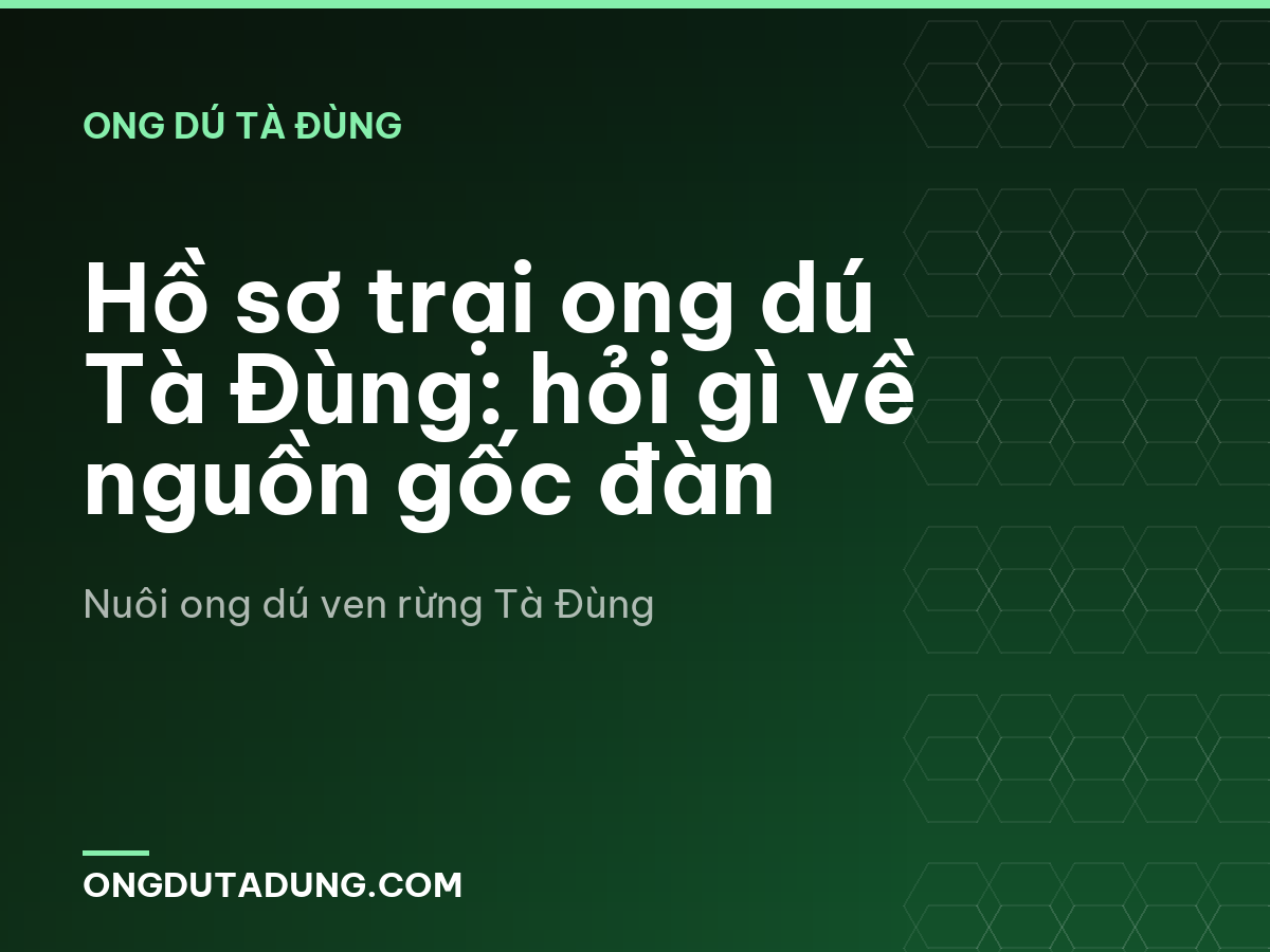 Hồ sơ trại ong dú Tà Đùng: hỏi gì về nguồn gốc đàn