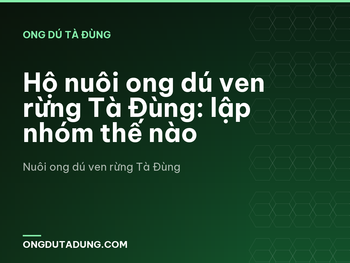 Hộ nuôi ong dú ven rừng Tà Đùng: lập nhóm thế nào