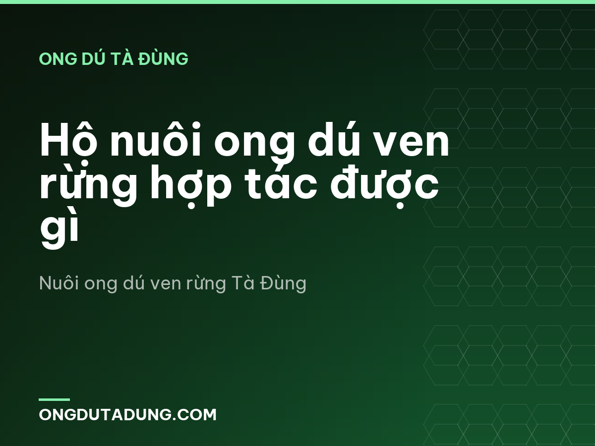Hộ nuôi ong dú ven rừng hợp tác được gì