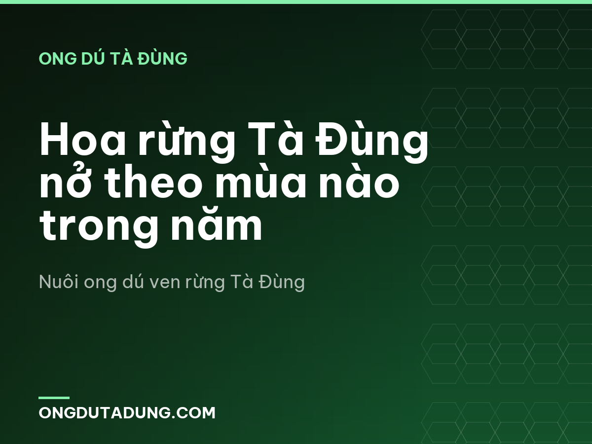Hoa rừng Tà Đùng nở theo mùa nào trong năm