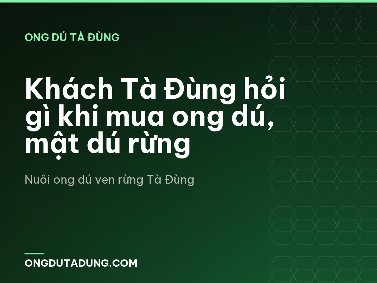 Khách Tà Đùng hỏi gì khi mua ong dú, mật dú rừng