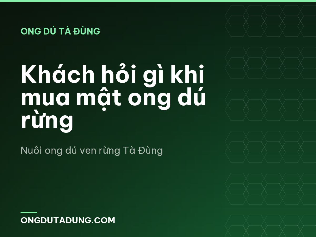 Khách hỏi gì khi mua mật ong dú rừng