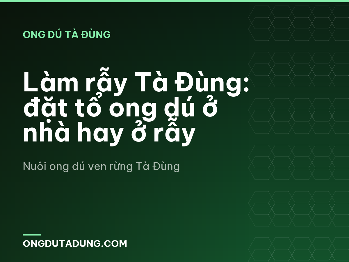 Làm rẫy Tà Đùng: đặt tổ ong dú ở nhà hay ở rẫy