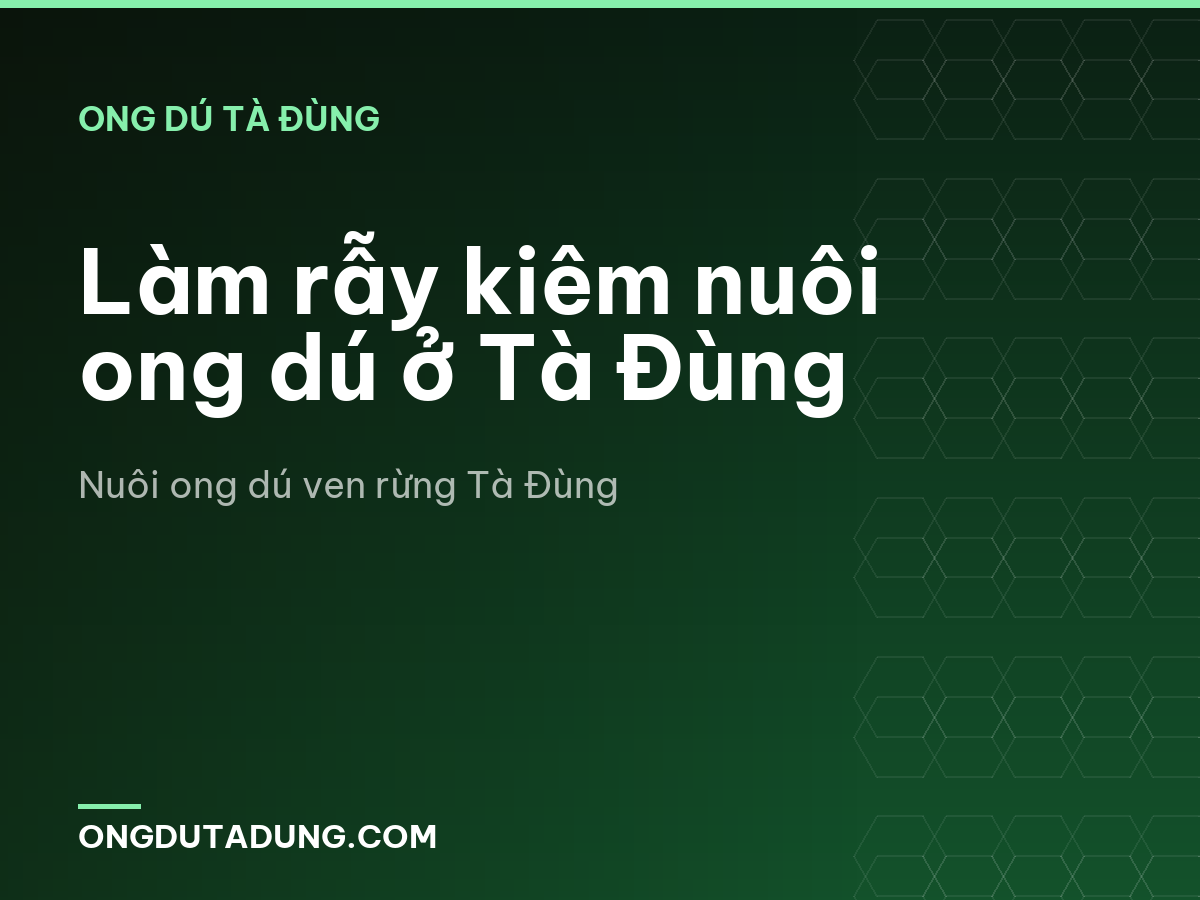 Làm rẫy kiêm nuôi ong dú ở Tà Đùng