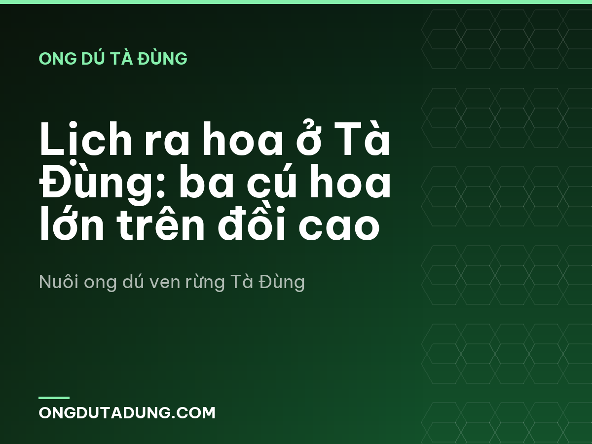 Lịch ra hoa ở Tà Đùng: ba cú hoa lớn trên đồi cao