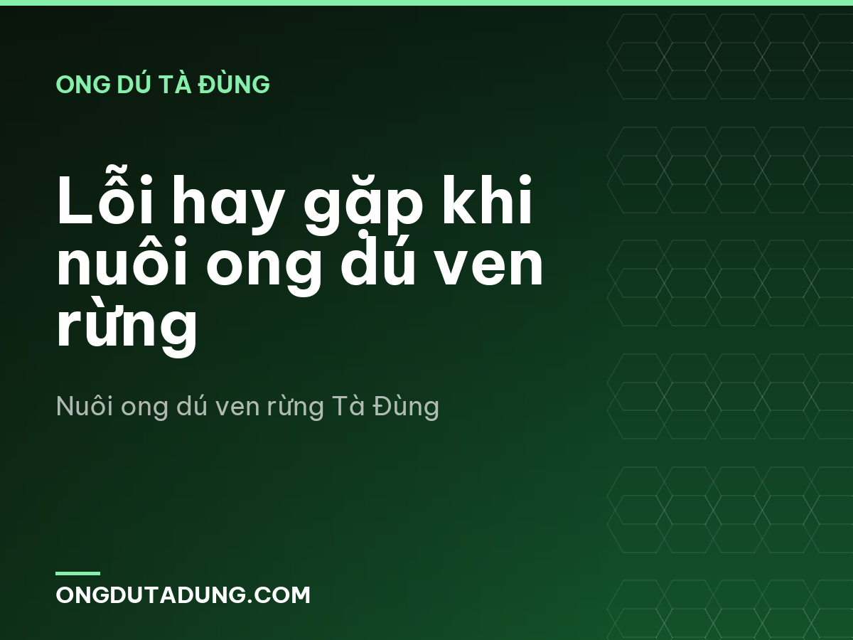 Lỗi hay gặp khi nuôi ong dú ven rừng