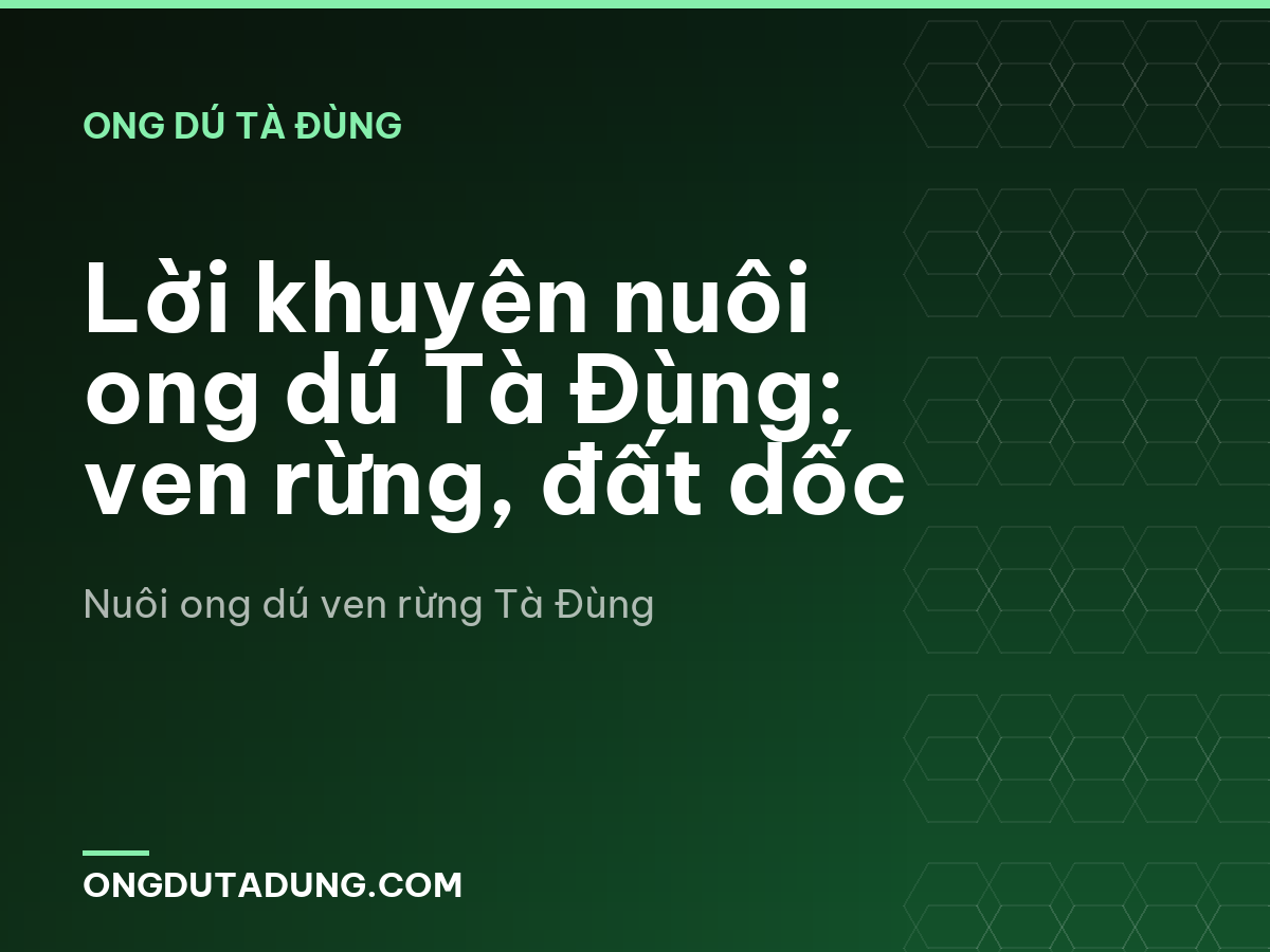 Lời khuyên nuôi ong dú Tà Đùng: ven rừng, đất dốc