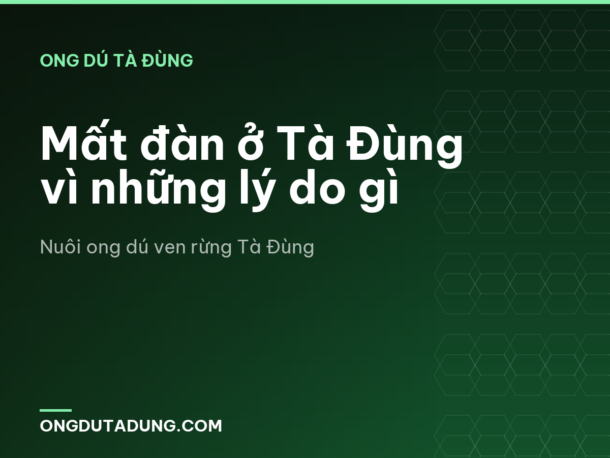 Mất đàn ở Tà Đùng vì những lý do gì
