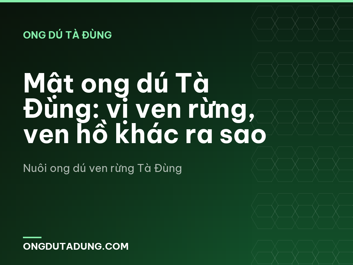 Mật ong dú Tà Đùng: vị ven rừng, ven hồ khác ra sao