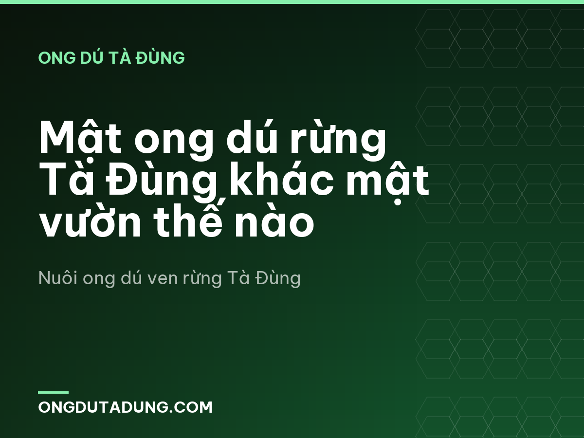 Mật ong dú rừng Tà Đùng khác mật vườn thế nào