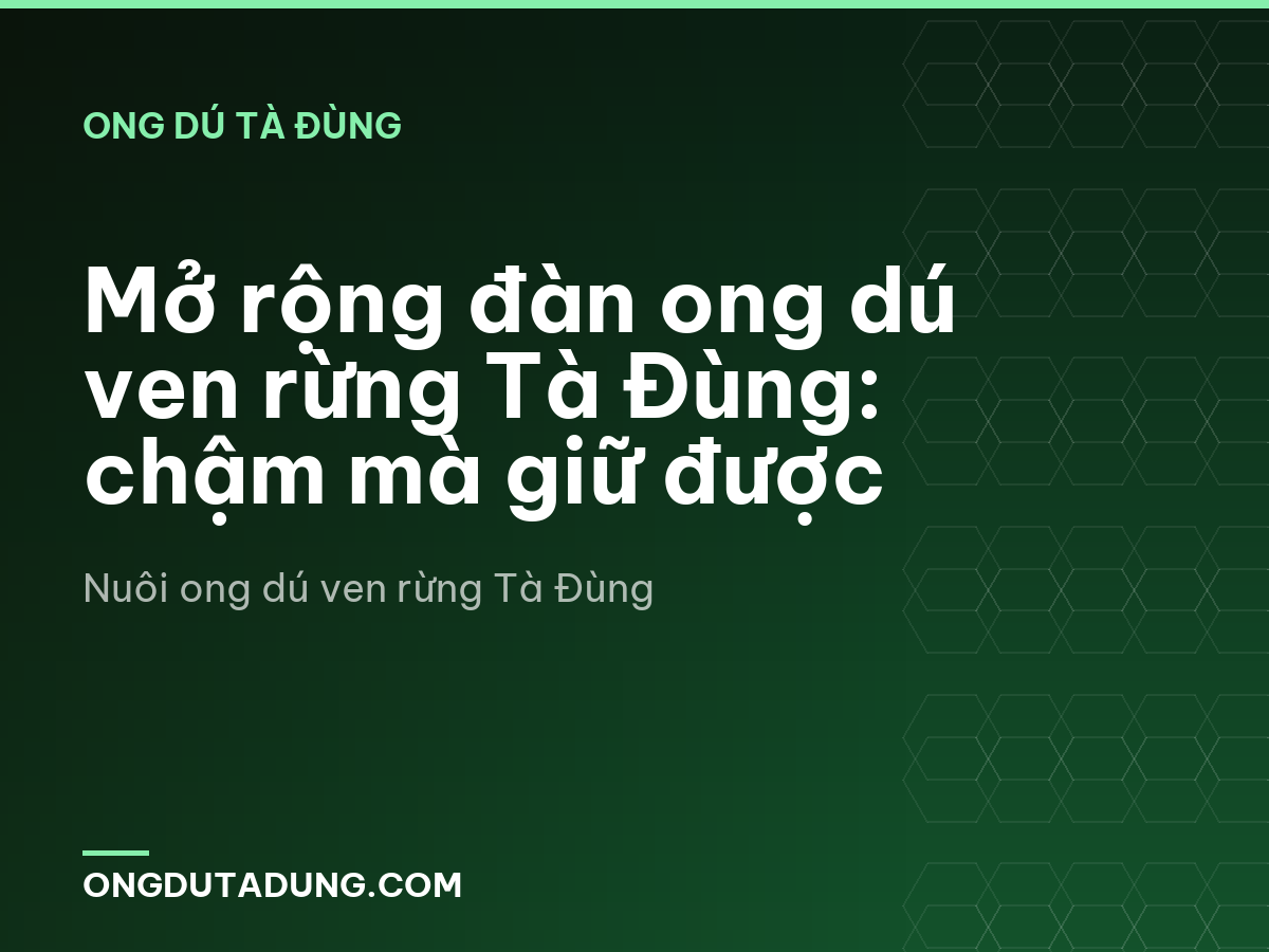 Mở rộng đàn ong dú ven rừng Tà Đùng: chậm mà giữ được