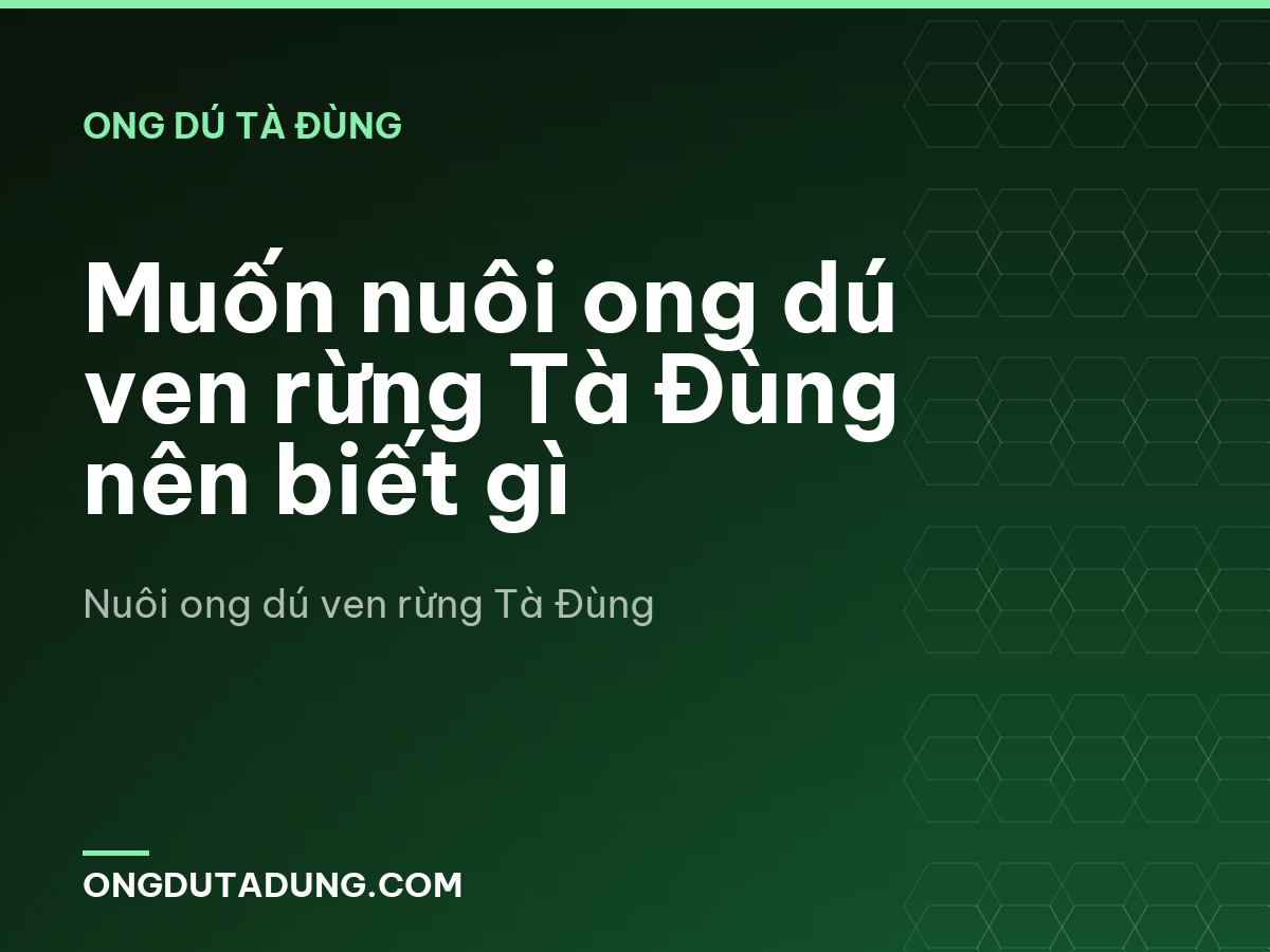 Muốn nuôi ong dú ven rừng Tà Đùng nên biết gì