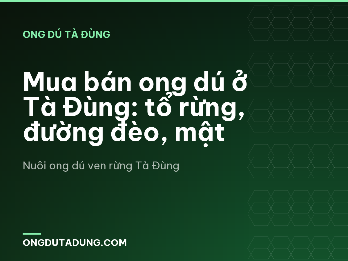 Mua bán ong dú ở Tà Đùng: tổ rừng, đường đèo, mật