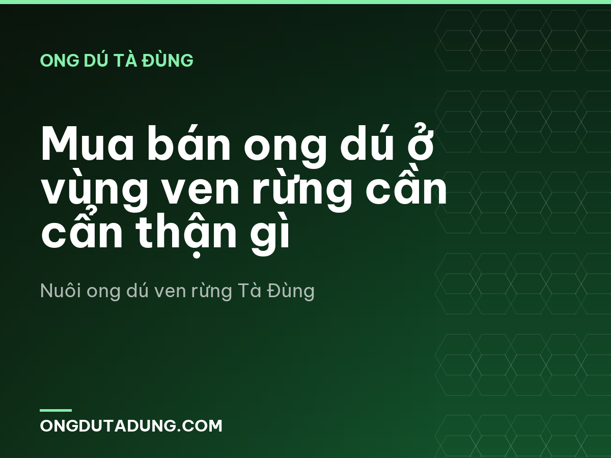 Mua bán ong dú ở vùng ven rừng cần cẩn thận gì
