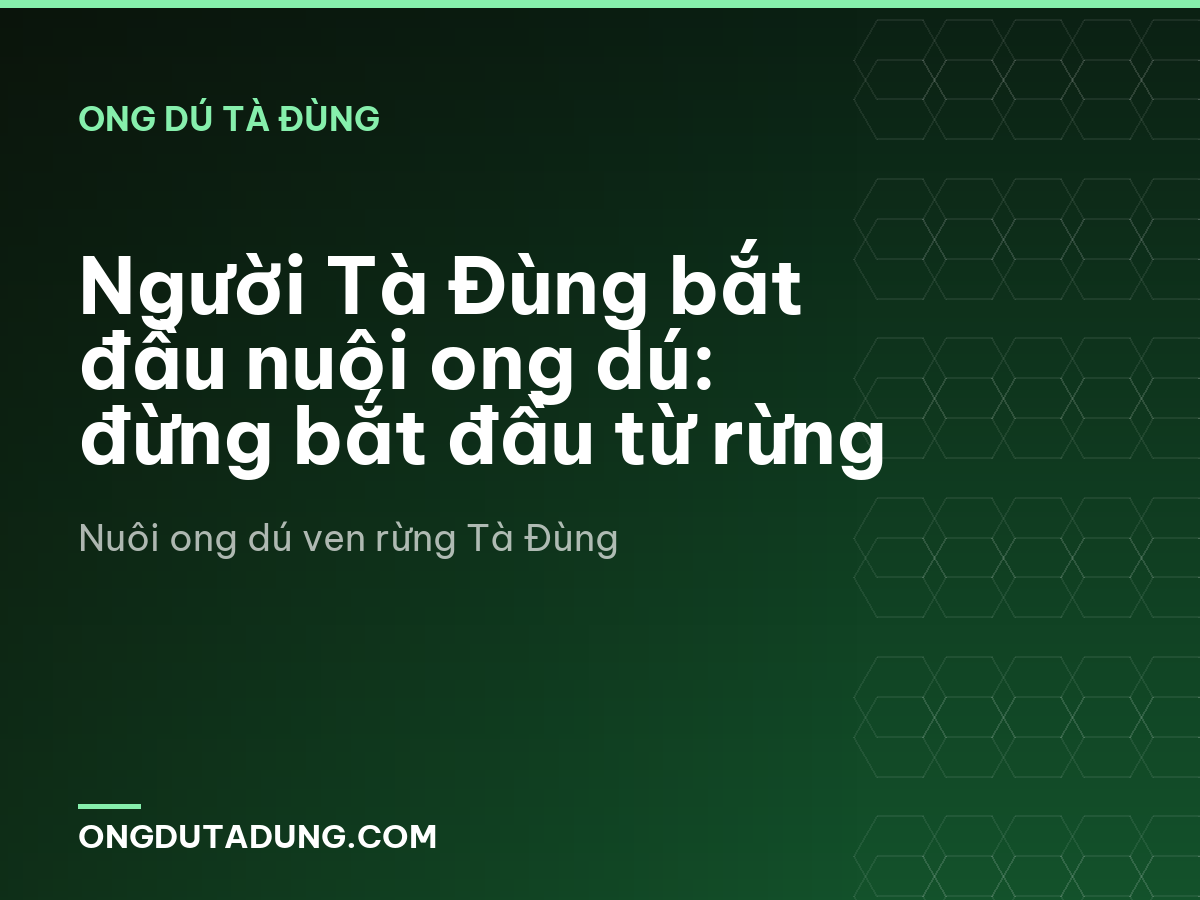 Người Tà Đùng bắt đầu nuôi ong dú: đừng bắt đầu từ rừng