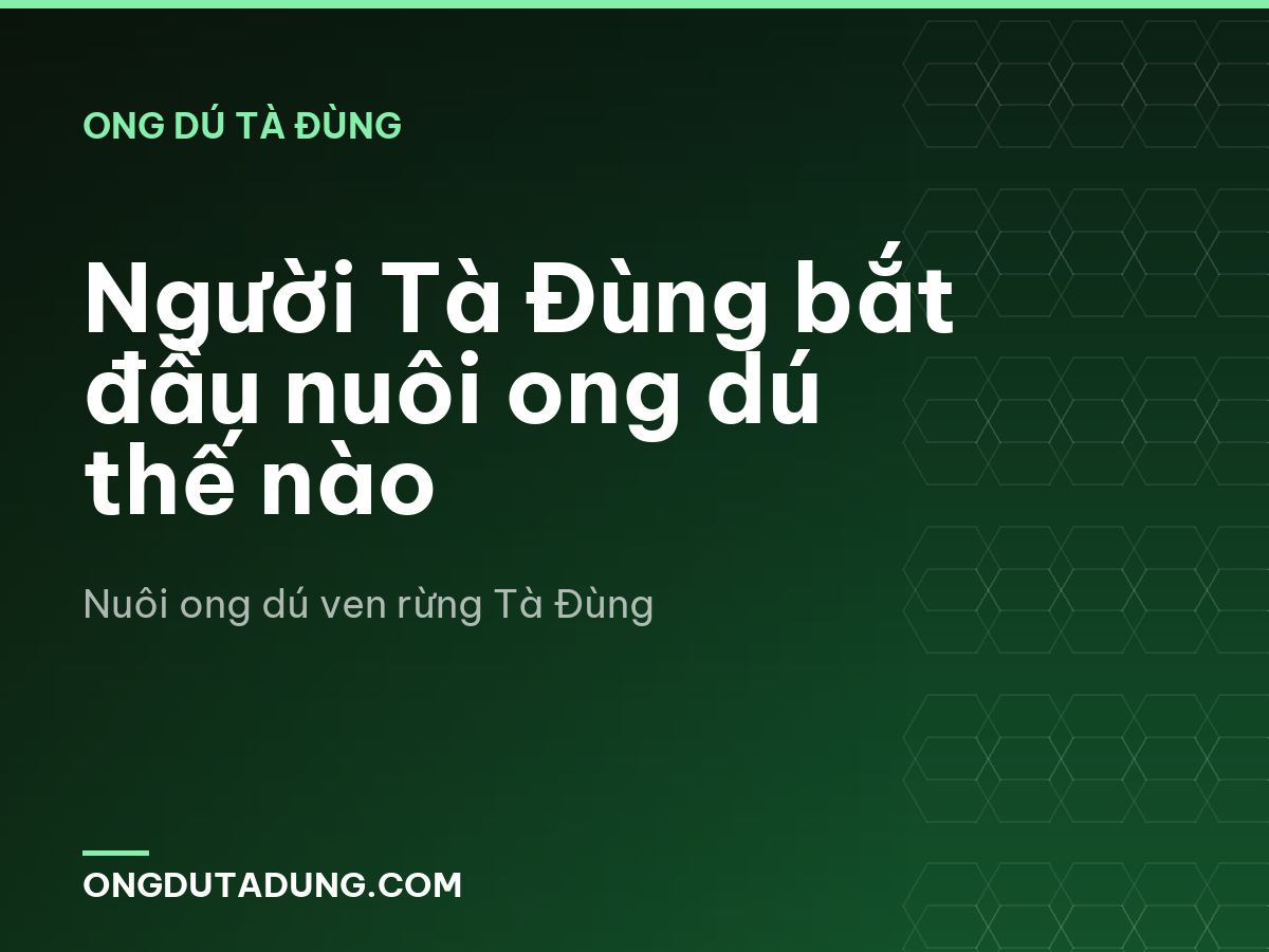 Người Tà Đùng bắt đầu nuôi ong dú thế nào