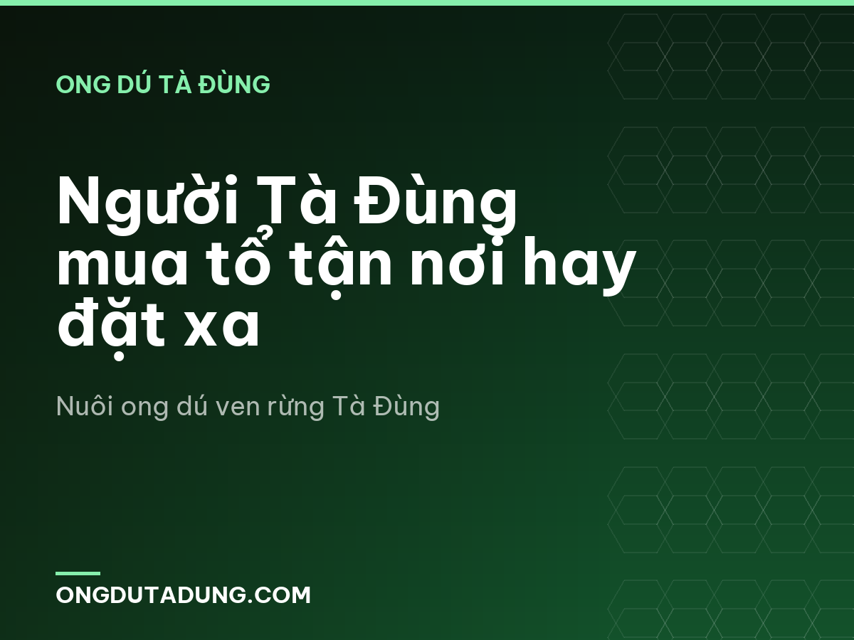 Người Tà Đùng mua tổ tận nơi hay đặt xa