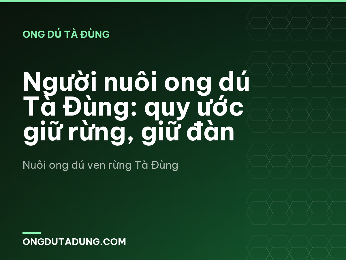 Người nuôi ong dú Tà Đùng: quy ước giữ rừng, giữ đàn