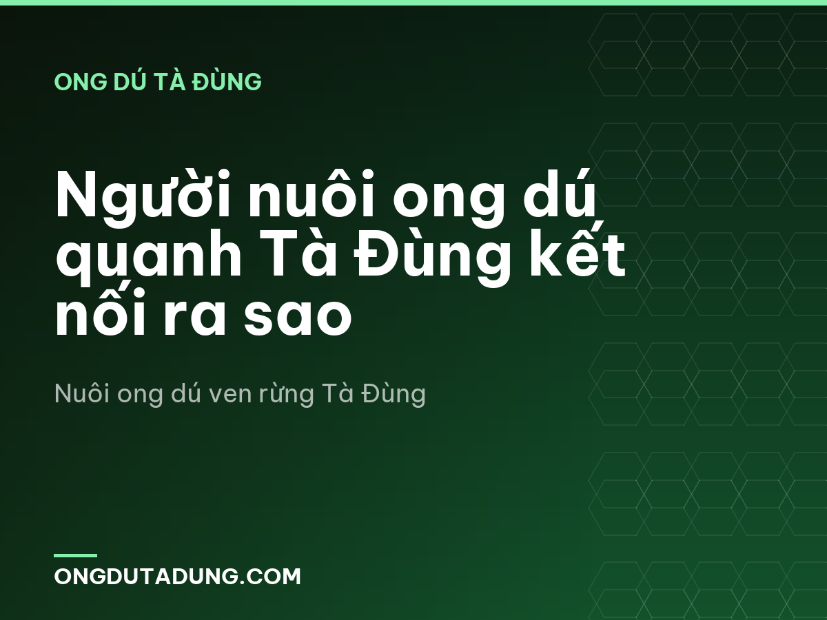 Người nuôi ong dú quanh Tà Đùng kết nối ra sao