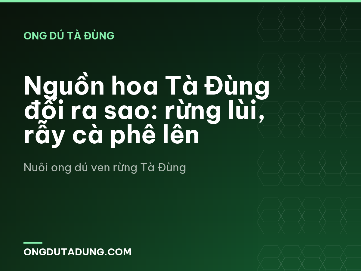Nguồn hoa Tà Đùng đổi ra sao: rừng lùi, rẫy cà phê lên