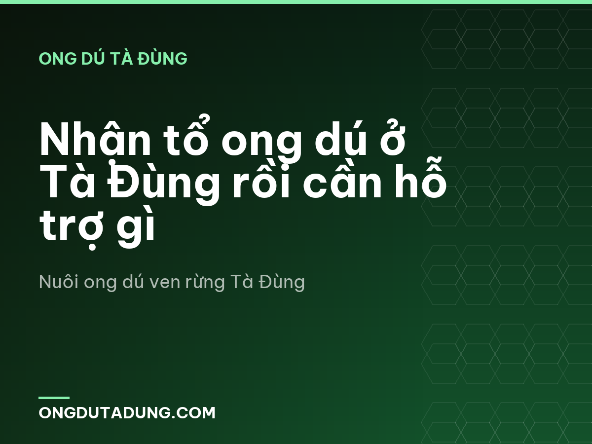 Nhận tổ ong dú ở Tà Đùng rồi cần hỗ trợ gì