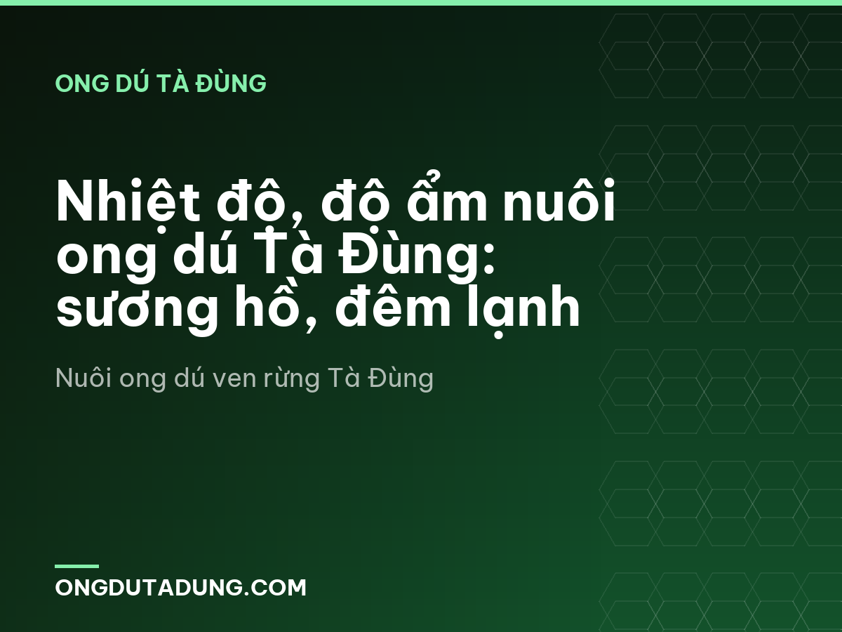 Nhiệt độ, độ ẩm nuôi ong dú Tà Đùng: sương hồ, đêm lạnh