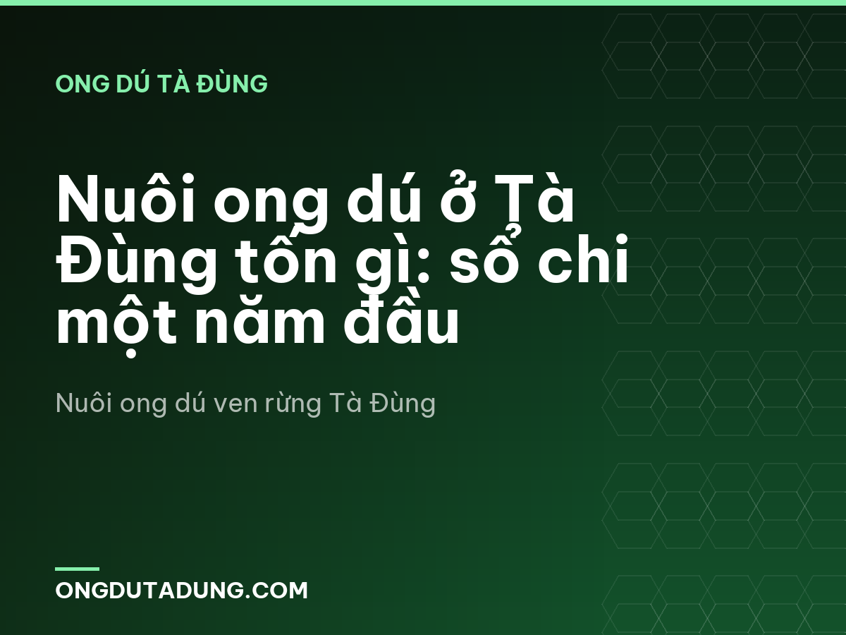 Nuôi ong dú ở Tà Đùng tốn gì: sổ chi một năm đầu