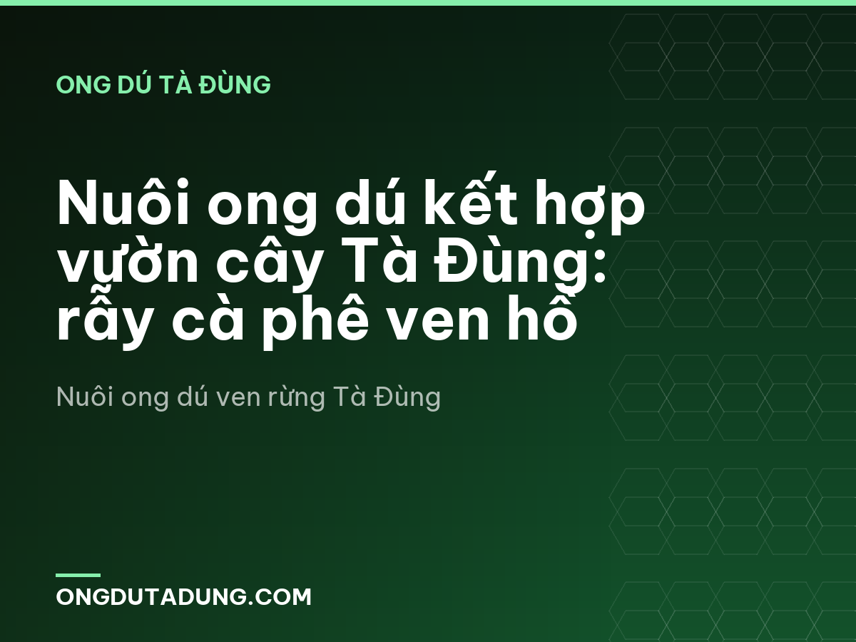 Nuôi ong dú kết hợp vườn cây Tà Đùng: rẫy cà phê ven hồ