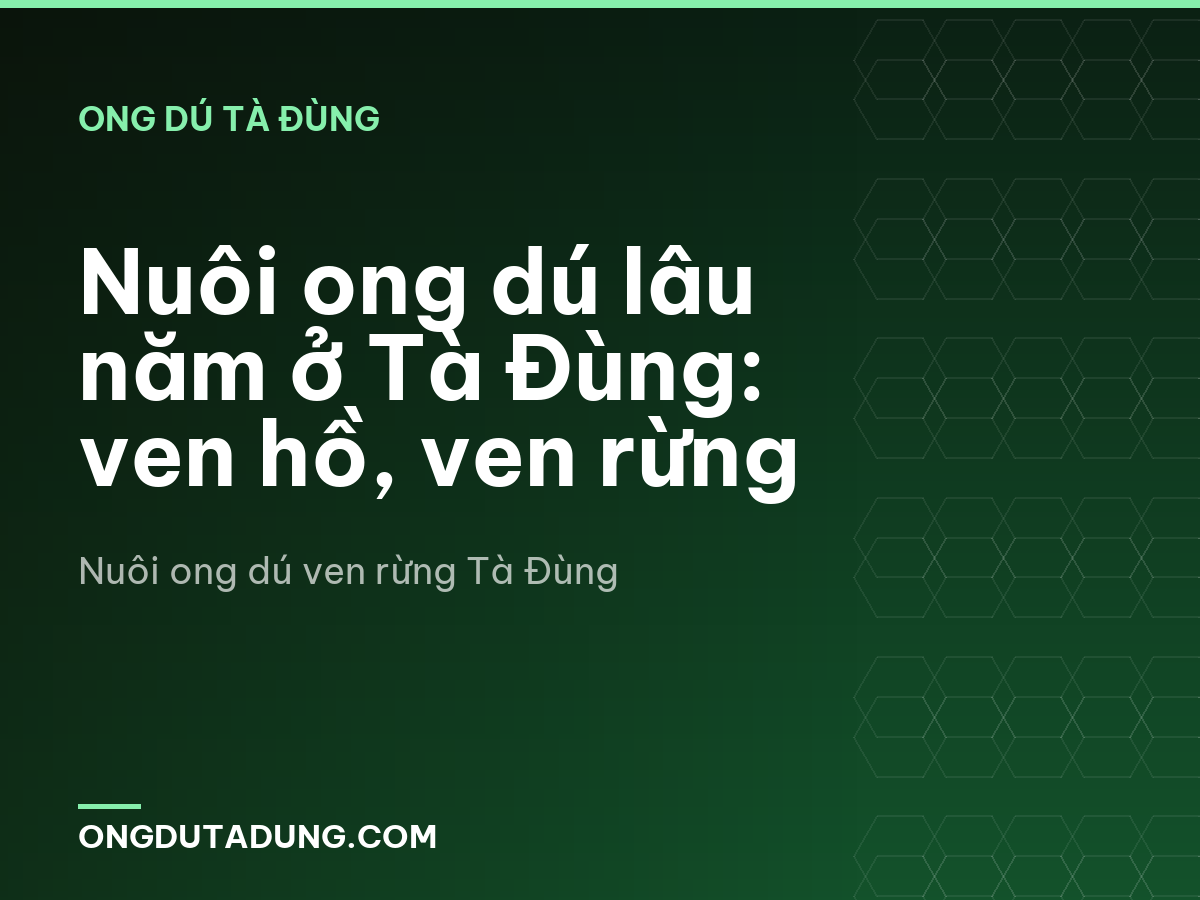 Nuôi ong dú lâu năm ở Tà Đùng: ven hồ, ven rừng