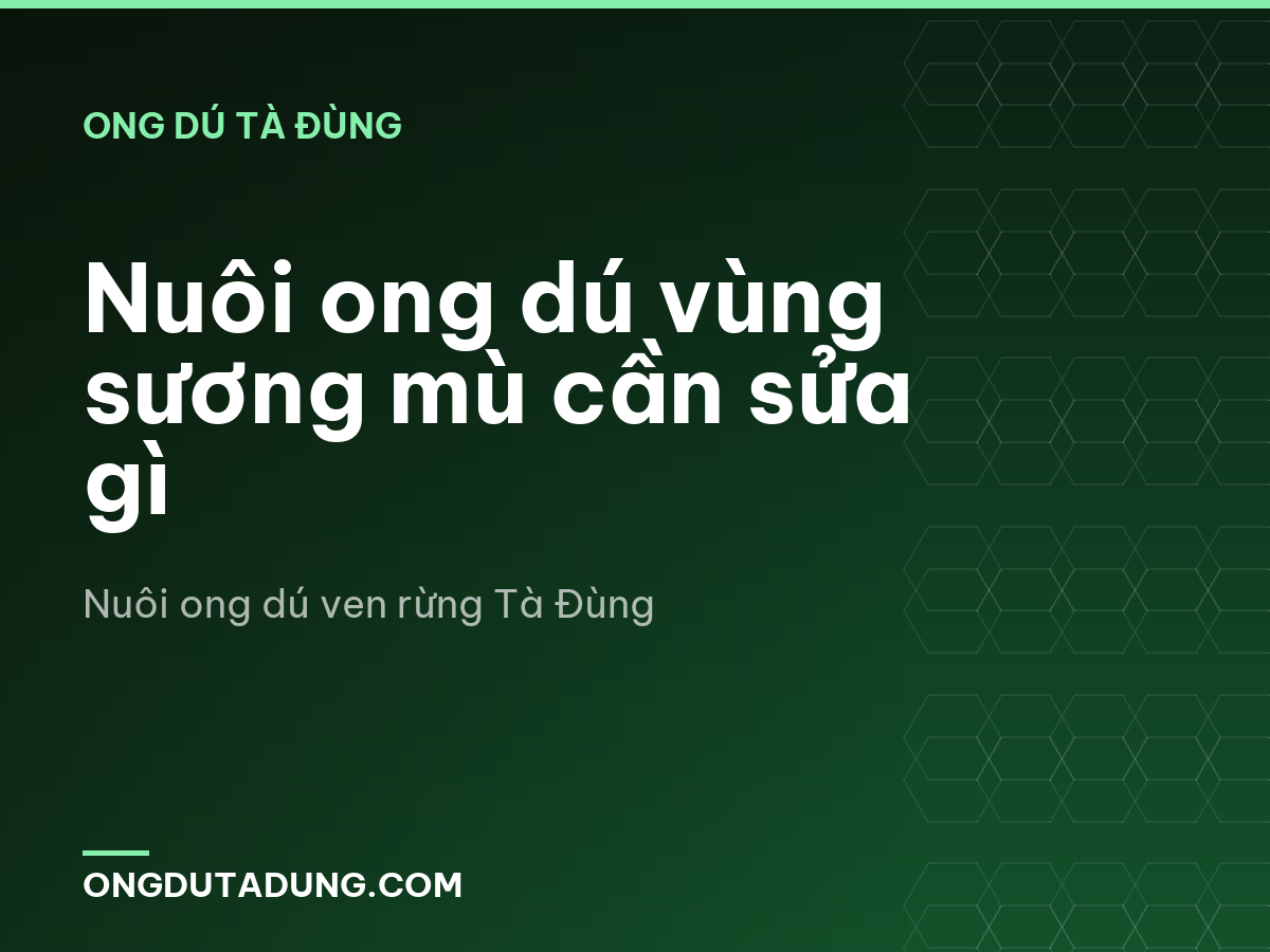 Nuôi ong dú vùng sương mù cần sửa gì