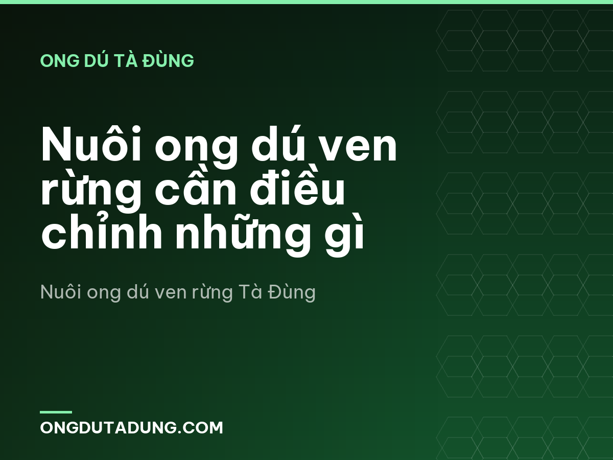Nuôi ong dú ven rừng cần điều chỉnh những gì