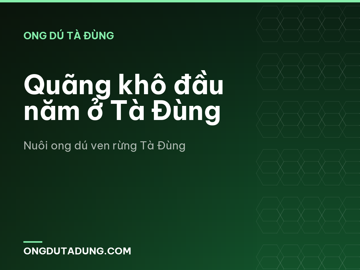 Quãng khô đầu năm ở Tà Đùng