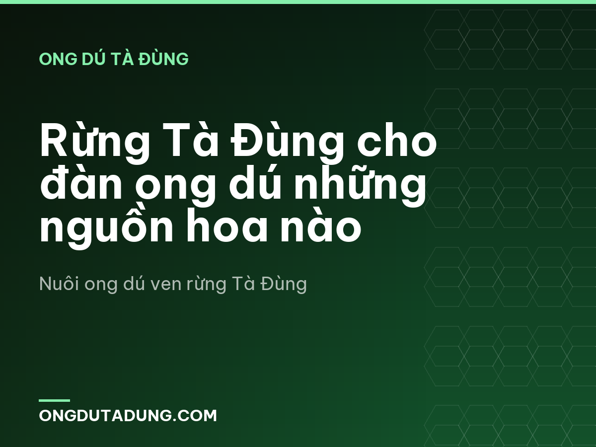 Rừng Tà Đùng cho đàn ong dú những nguồn hoa nào