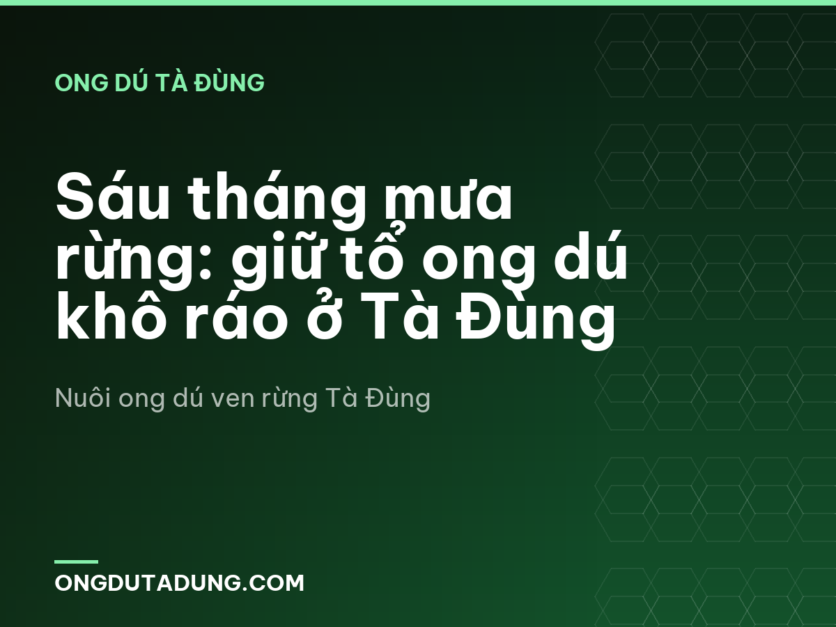 Sáu tháng mưa rừng: giữ tổ ong dú khô ráo ở Tà Đùng