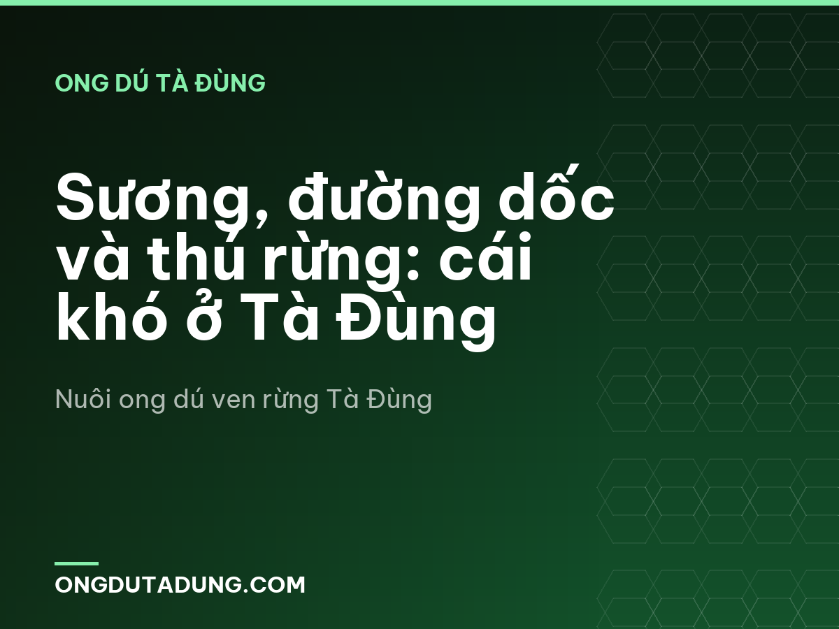 Sương, đường dốc và thú rừng: cái khó ở Tà Đùng